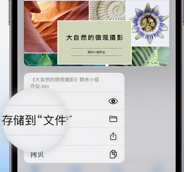 华亭apple维修中心分享iPhone文件应用中存储和找到下载文件