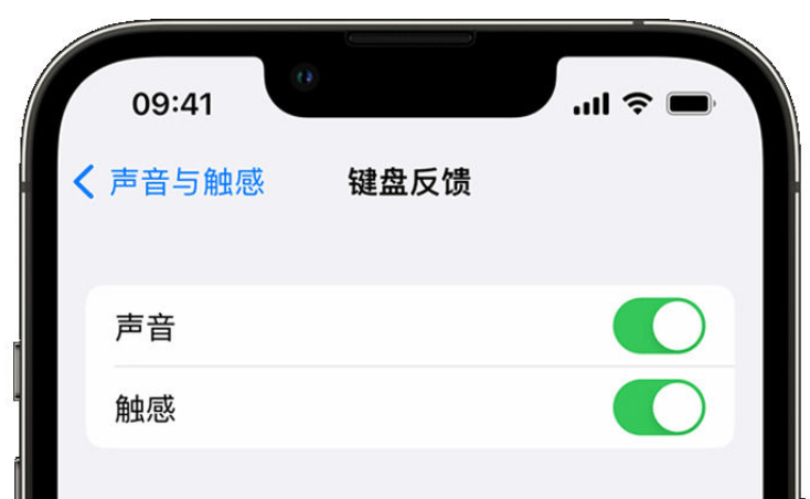 华亭苹果手机维修分享iPhone 14触感键盘使用方法 