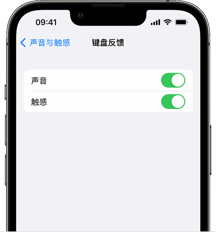 华亭苹果14维修店分享如何在 iPhone 14 机型中使用触感键盘 