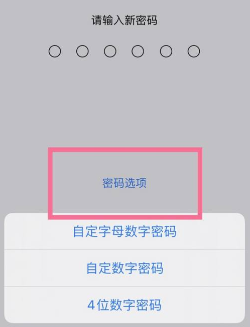 华亭苹果14维修分享iPhone 14plus设置密码的方法 