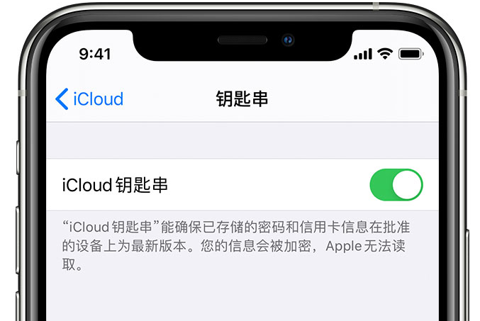 华亭苹果手机维修分享在 iPhone 上开启 iCloud 钥匙串之后会储存哪些信息 