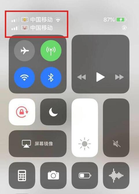 华亭苹果手机维修分享为 iPhone 12 双卡设置标签 